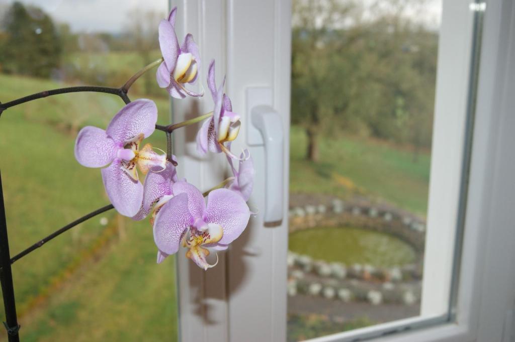 Chateau Neufays Theux Pokoj fotografie